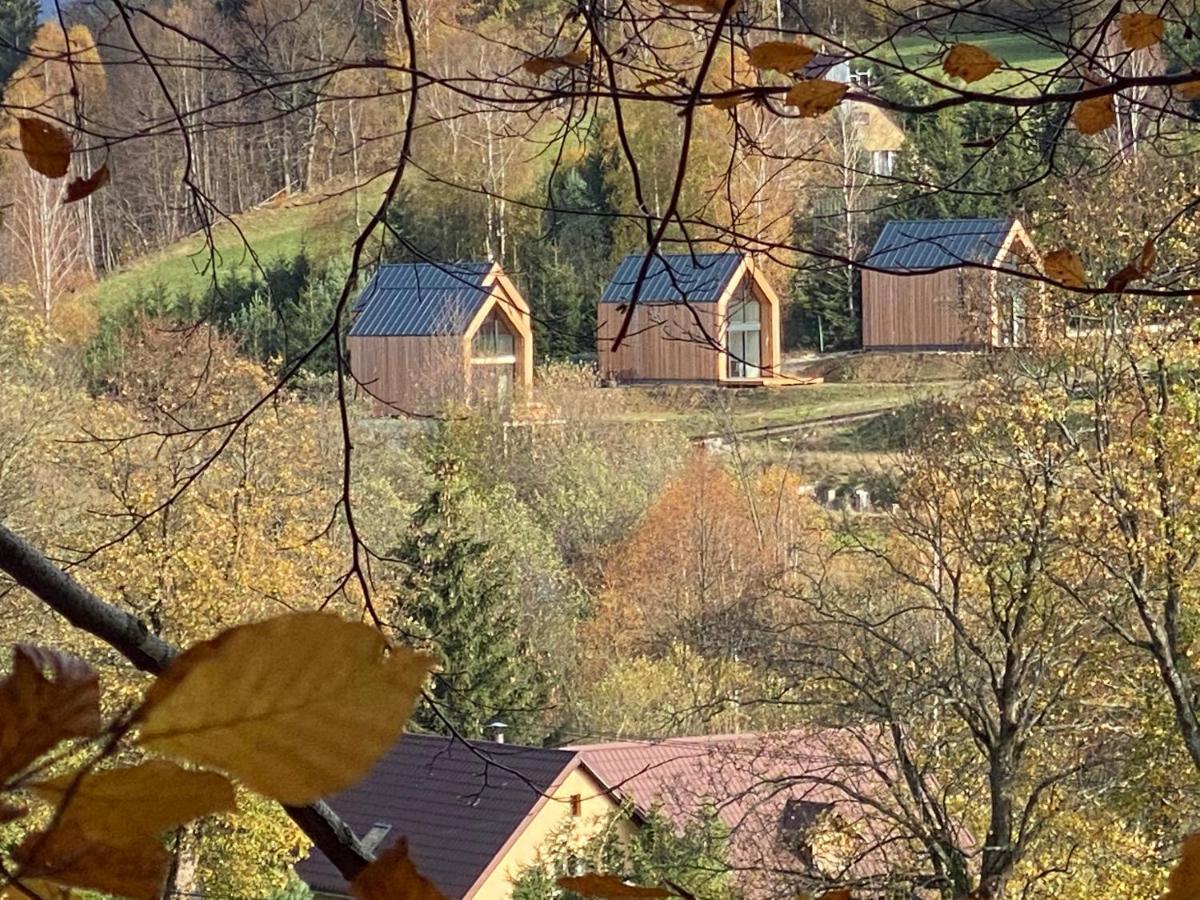 Domki Pod Lasem - Domek Brzozowy Stronie Śląskie Exteriér fotografie