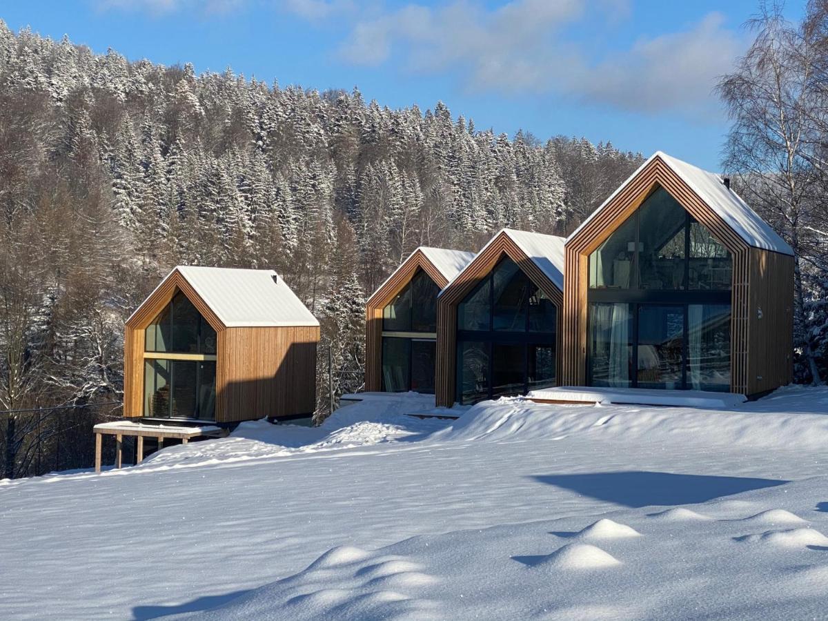Domki Pod Lasem - Domek Brzozowy Stronie Śląskie Exteriér fotografie