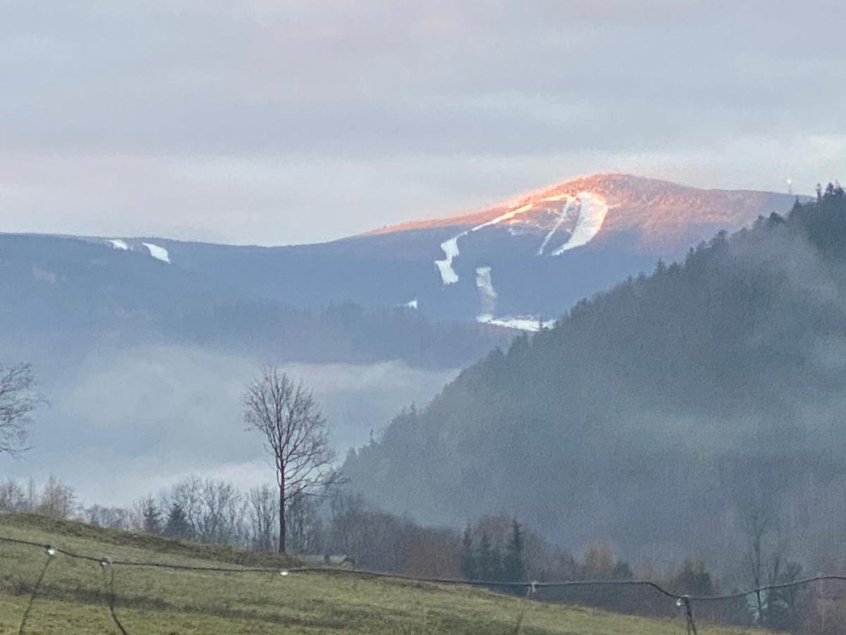 Domki Pod Lasem - Domek Brzozowy Stronie Śląskie Exteriér fotografie