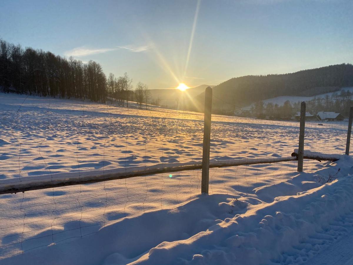 Domki Pod Lasem - Domek Brzozowy Stronie Śląskie Exteriér fotografie