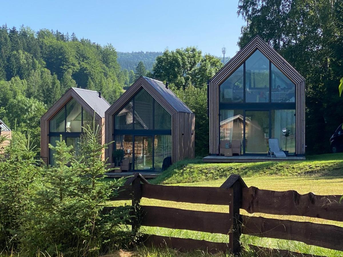 Domki Pod Lasem - Domek Brzozowy Stronie Śląskie Exteriér fotografie