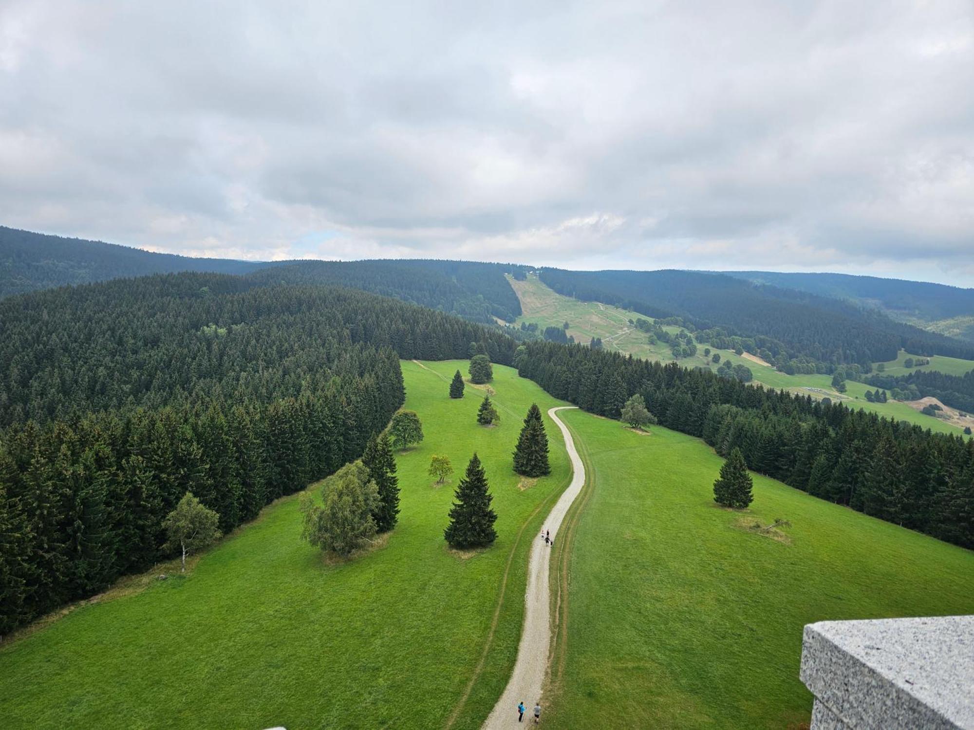 Domki Pod Lasem - Domek Brzozowy Stronie Śląskie Exteriér fotografie