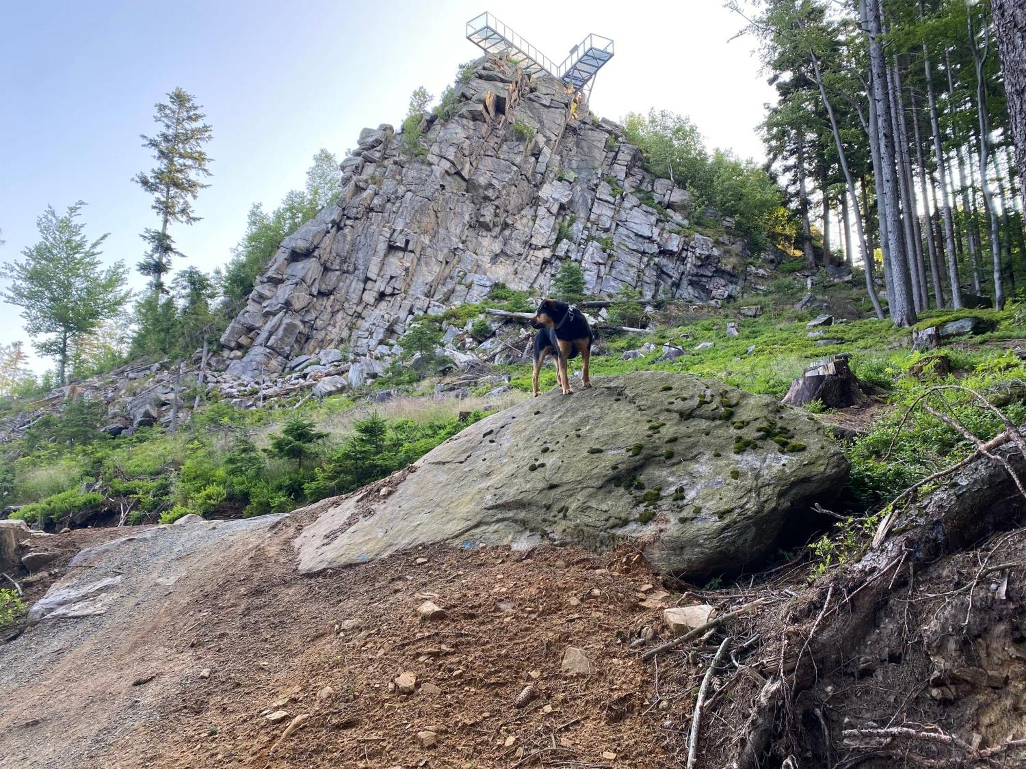 Domki Pod Lasem - Domek Brzozowy Stronie Śląskie Exteriér fotografie